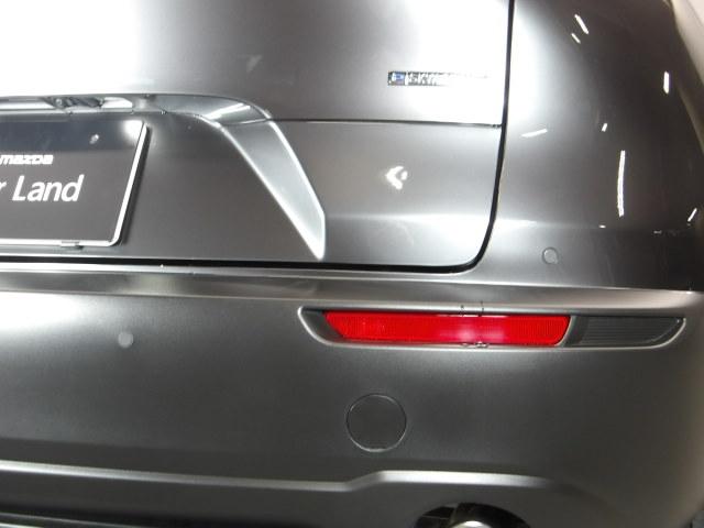 CX-30 20S i Selection パワーリフトゲート ETC オートライト 試乗車 360°カメラ LED MRCC(28枚目)