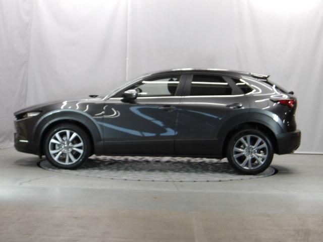CX-30 20S i Selection パワーリフトゲート ETC オートライト 試乗車 360°カメラ LED MRCC(36枚目)