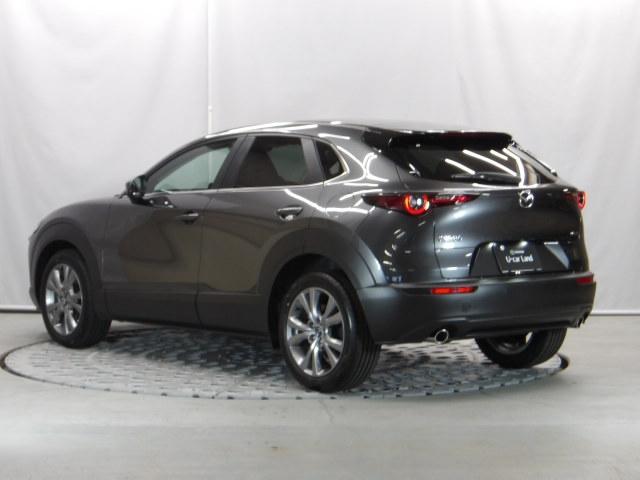 CX-30 20S i Selection パワーリフトゲート ETC オートライト 試乗車 360°カメラ LED MRCC(37枚目)
