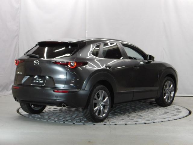 CX-30 20S i Selection パワーリフトゲート ETC オートライト 試乗車 360°カメラ LED MRCC(38枚目)
