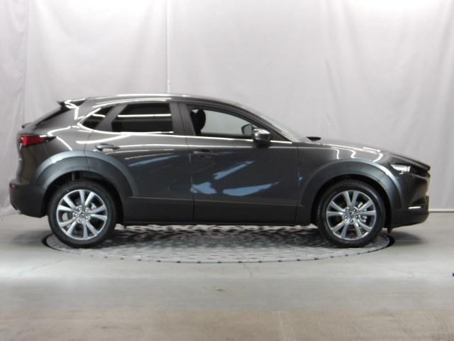CX-30 20S i Selection パワーリフトゲート ETC オートライト 試乗車 360°カメラ LED MRCC(39枚目)
