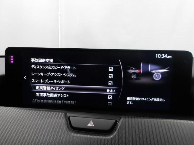 �Ԃ��Q�������łȂ��l�����m���A�u���[�L���������䂵�ďՓˉ�����T�|�[�g���Ă����A�h�o���X�g�E�X�}�[�g�E�V�e�B�E�u���[�L�E�T�|�[�g�𑕔��I