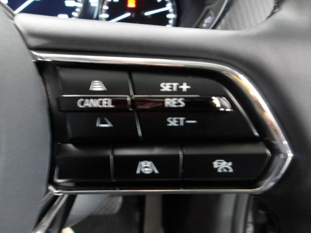 �l�q�b�b�i�}�c�_���[�_�[�N���[�Y�R���g���[���j�͐�s�ԂƂ̎ԊԂ��ێ����Ȃ���Ǐ]���s���s���A�������ł̃h���C�o�[���S���y�������Ă���܂��B