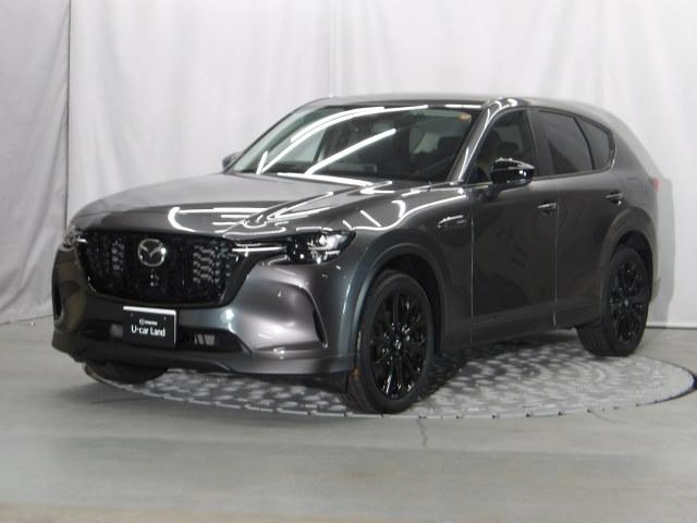 �[��ꎞ��A�������g���l���ȂǁA�w�b�h���C�g�_�E�����̔ς킵������J�����Ă����I�[�g���C�g����������Ă��܂��B