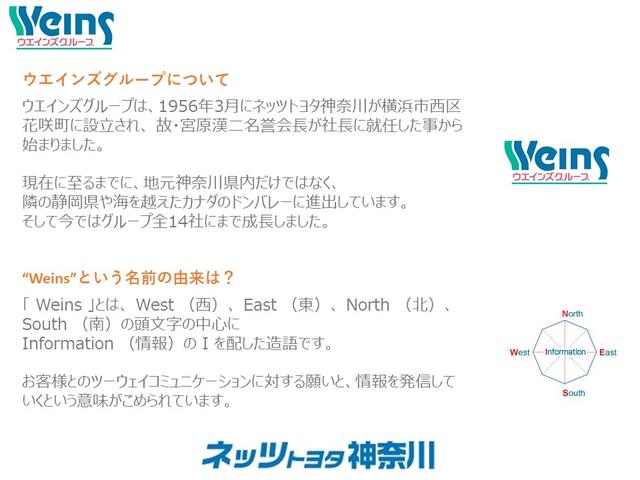 ZS 煌 純正メモリーナビ バックモニター LEDヘッドライト 両側電動スライドドア ワンオーナー ETC 3.6万キロ(42枚目)