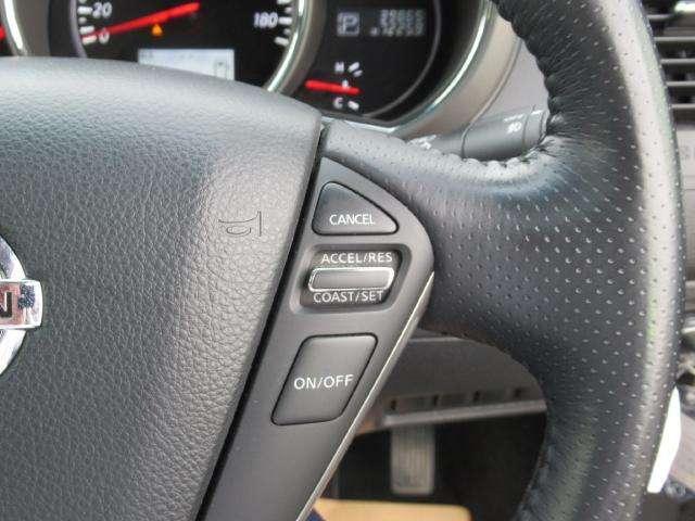 250XV サンル-フ 黒本革シ-ト BOSE HDDナビ(6枚目)