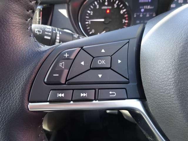 エクストレイル ２．０　２０Ｘｉ　２列車　４ＷＤ　プロパイ　デカナビ　ＡＶＭ　防水シート　保証　セキュリティ　リアカメラ　ワンオナ　追従クルーズ　ＬＥＤ　ドライブレコーダ　インテリジェントキー　ＬＤＷ　サイドカメラ　ＥＴＣ　Ａストップ　ＡＡＣ　ナビ＆ＴＶ　メモリーナビ　キーフリー　アルミホイール（10枚目）