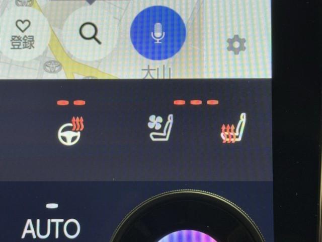 アルファードハイブリッド エグゼクティブラウンジ　本革　寒冷地仕様　フルセグＴＶ　ドライブレコーダー　アルミホイール　パノラミックルーフ　１００Ｖ電源　ＬＥＤヘッドライト　記録簿　４ＷＤ　スマートキー　ＤＶＤプレーヤー　パワーシート　ＥＴＣ　エアコン（16枚目）