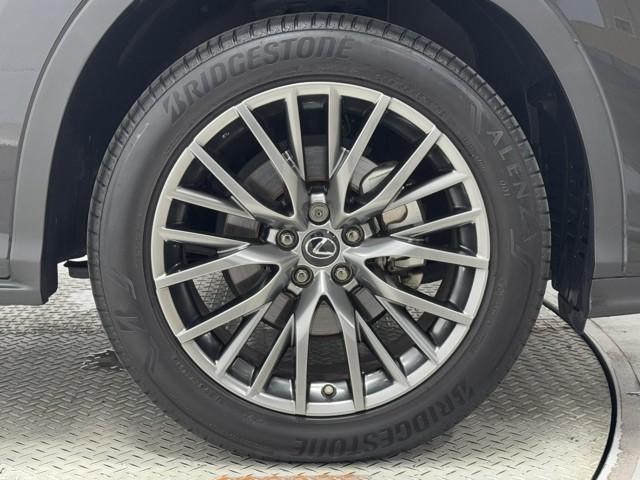 ＲＸ ＲＸ３００　Ｆスポーツ　記録簿　プリクラッシュ　ＡＷ　Ｂカメラ　ＡＣ１００Ｖ電源　ＥＴＣ車載器　オートクルーズ　横滑り防止装置　エアバック　ナビ＆ＴＶ　キーレス　Ｐシート　ＬＥＤヘッドランプ　オートエアコン　ＡＢＳ　全席ＰＷ（19枚目）