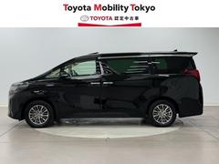 ҤǤϡΥեӥ³Ƥ󶡤Ǥա̡롦פΤͤؤ˸ꤵƤƤޤ 3