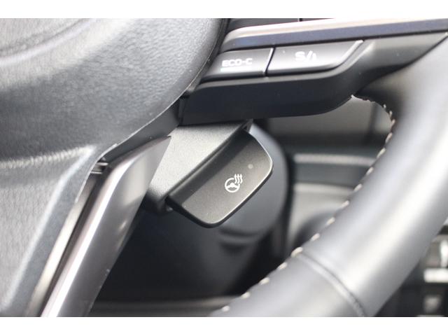 フォレスター アドバンス　後期型　１オーナー　オススメ車！　２年間走行距離無制限保証付き　新世代アイサイト　１オーナー　全車速追従機能付クルーズコントロール　パナソニックナビ　フロントサイドバックカメラ　前後ドラレコ　ＥＴＣ２．０　カーゴステップパネル（32枚目）