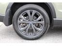 Ｘ－エディション　１オーナー車　走行少ない美車！　２年間走行距離無制限保証付き　アイサイトｖｅｒ３　１オーナー車　全車速追従機能付きクルーズコントロール　ダイアトーンナビ　前後ダイアトーンスピーカー　ＥＴＣ２．０　ドラレコ　カーゴステップパネル樹脂製（65枚目）