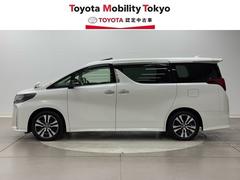 ե ӡåѥåξưɥ¥˥ϥǥʡϿģ֣ĺǽѥΥޥ롼աꥢȥ󡡥ʥӥƥӡɻߡ륳󡡣ãŸƥţԣüֺܴ