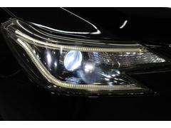 �ޡ����� �������ǡ��ӥѥå��������ǡǣ󡡥���롼�ա���åɥ����ѡ� 0502096A30251220W001 6