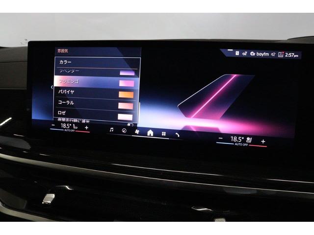 X7 xDrive 40d Mスポーツ スカイラウンジパノラマサンルーフ ブラックメリノレザーシートヒーターベンチレーション 6人乗り 22インチホイール BMW認定中古車(21枚目)
