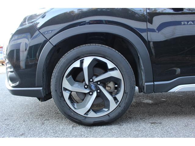 �t�H���X�^�[����ɓ��ꂽ���R�ɍs�������I����ȕ����X�^�h���X�̍w�������X�𐥔�A�����Ă��������I