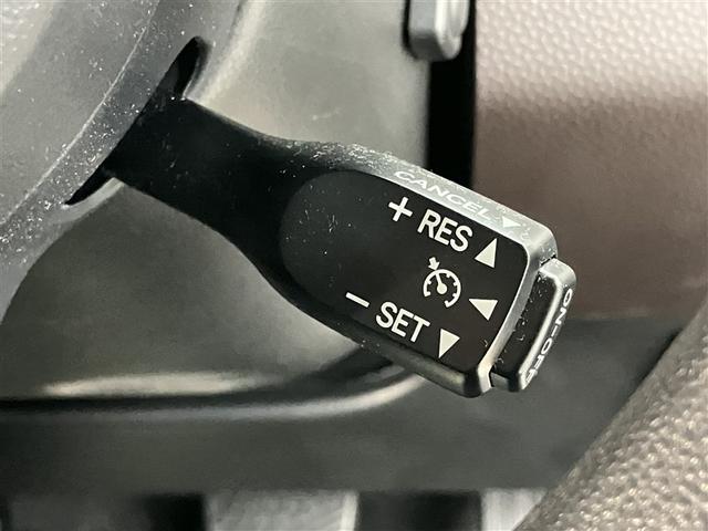 タンク Ｇ　コージーエディション　スマートキープッシュスタート　両側自動ドア　地デジ　盗難防止　ＬＥＤランプ　バックモニター　ＤＶＤ再生機能　クルコン　ウォークスルー　ワンオーナー車　横滑り防止装置　ナビＴＶ　ＡＢＳ　キーレス　ＥＴＣ（11枚目）