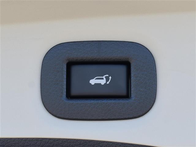 エクストレイル 20Xi ハイブリッド SD 全周囲 車線逸脱警報 衝突被害軽減 オートライト インテリジェントキー LED ルーフレール 盗難防止システム ETC ナビTV アイドリングストップ オートエアコン ABS ドライブレコーダー(20枚目)