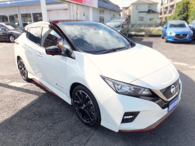 リーフ ニスモ OPレカロ/プロパイロット/エマブレ/アラウンドビュー/スマートミラー/電子パーキング/純正9型ナビ&フルセグ/LEDライト/クリソナ/シートヒーター/ETC2.0/ドラレコ/BTA/HDMI/USB(54枚目)