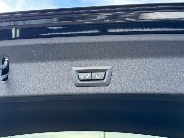 X3 xDrive 20d Mスポーツハイラインパッケージ セレクトパッケージ ガラスサンルーフ モカ革 ハーマンカードン ACC Dアシスト レーンキープアシスト タッチパネルナビ 全周囲カメラ フルセグTV ワイヤレスチャージ 19インチAW ETC 禁煙(47枚目)