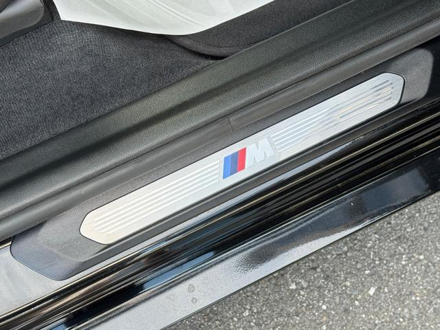 X3 xDrive 20d Mスポーツハイラインパッケージ セレクトパッケージ ガラスサンルーフ モカ革 ハーマンカードン ACC Dアシスト レーンキープアシスト タッチパネルナビ 全周囲カメラ フルセグTV ワイヤレスチャージ 19インチAW ETC 禁煙(51枚目)