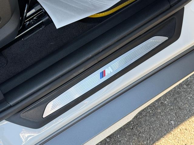 BMW X2 X DRIVE 18D M SPORT X EDITION JOY+