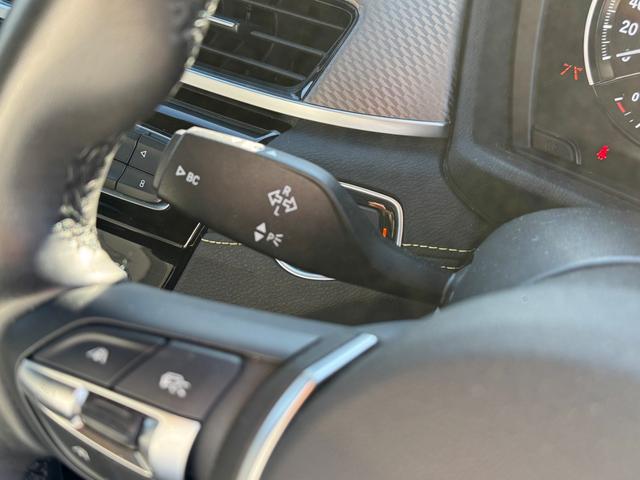 BMW X2 X DRIVE 18D M SPORT X EDITION JOY+