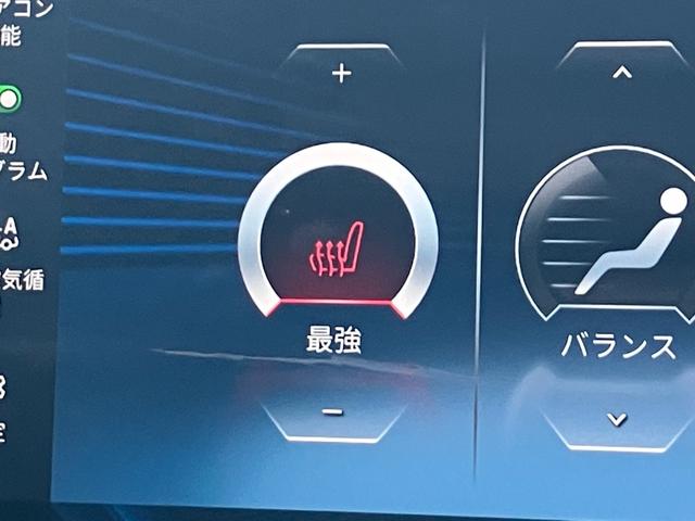 Ｘ１ ｘＤｒｉｖｅ　２０ｄ　Ｍスポーツ　ワンオーナー　タッチパネル式ＨＤＤナビ　フロント＋サイド＋バック＋トップビューカメラ　ＡＣＣ　ドライビングアシスト　パーキングアシスト　ヘッドアップディスプレイ　シートヒーター（41枚目）