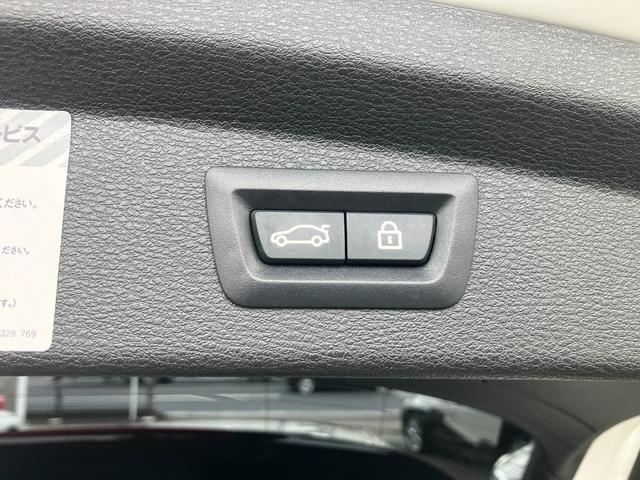 X2 xDrive 20i MスポーツX 電動スポーツシート ACC ヘッドアップディスプレイ アドバンスドアクティブセーフティーパッケージ 電動リアゲート タッチパネル式HDDナビ バックカメラ 19インチアルミ(32枚目)
