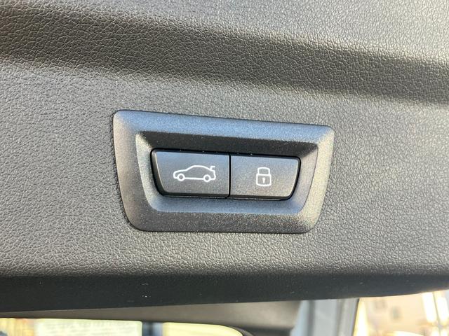 X2 xDrive 20i Mスポーツ 新車保証付 レンタカー登録弊社デモカー タッチパネル式HDDナビ フロント+サイド+バック+トップビューカメラ ACC ハーフレザースポーツシート シートヒーター(43枚目)