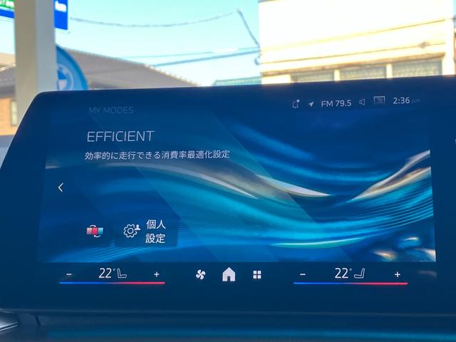 ２シリーズ ２１８ｄアクティブツアラー　Ｍスポーツ　新車保証付　レンタカー登録弊社デモカー　タッチパネル式ＨＤＤナビ　バックカメラ　ＡＣＣ　ドライビングアシスト　パーキングアシスト　１７インチアルミ　シートヒーター（54枚目）