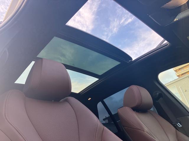 X5 xDrive 35d Mスポーツ ワンオーナ パノラマサンルーフ コーヒーブラウンレザー 21インチアルミ Mスポーツブレーキ ハイラインパッケージ ソフトクローズドア プラスパッケージ 地デジ付タッチパネル式HDDナビ(12枚目)