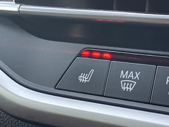 X5 xDrive 35d Mスポーツ ワンオーナ パノラマサンルーフ コーヒーブラウンレザー 21インチアルミ Mスポーツブレーキ ハイラインパッケージ ソフトクローズドア プラスパッケージ 地デジ付タッチパネル式HDDナビ(44枚目)