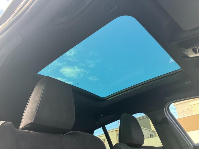 iX2 xDrive 30 Mスポーツ 新車保証付 レンタカー登録弊社デモカー ガラスサンルーフ タッチパネル式HDDナビ フロント+サイド+バック+トップビューカメラ ACC ヘッドアップディスプレイ(5枚目)