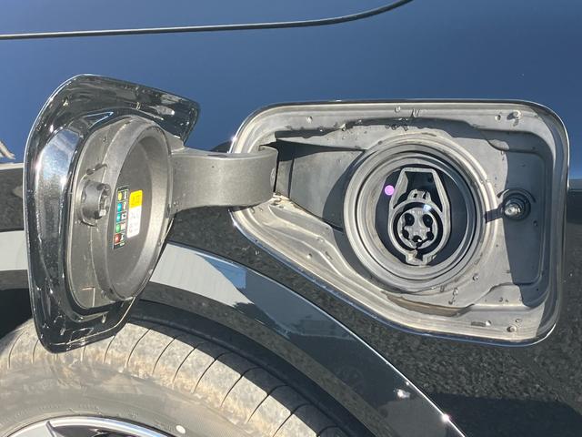 iX2 xDrive 30 Mスポーツ 新車保証付 レンタカー登録弊社デモカー ガラスサンルーフ タッチパネル式HDDナビ フロント+サイド+バック+トップビューカメラ ACC ヘッドアップディスプレイ(57枚目)