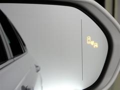 ֥饤ɥݥåȥ˥ټξΡɥߥ顼Ǥϳǧˤ塢¦ꥢ¸ߤξܶᤷƤξ⸡Τɥߥ顼ܤ줿̣ţĥ󥸥ޤ 7