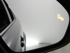 ֥饤ɥݥåȥ˥ټξΡɥߥ顼Ǥϳǧˤ塢¦ꥢ¸ߤξܶᤷƤξ⸡Τɥߥ顼ܤ줿̣ţĥ󥸥ޤ 6