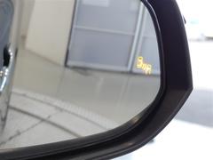 ֥饤ɥݥåȥ˥ټξΡɥߥ顼Ǥϳǧˤ塢¦ꥢ¸ߤξܶᤷƤξ⸡Τɥߥ顼ܤ줿̣ţĥ󥸥ޤ 6