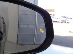 ֥饤ɥݥåȥ˥ټξΡɥߥ顼Ǥϳǧˤ塢¦ꥢ¸ߤξܶᤷƤξ⸡Τɥߥ顼ܤ줿̣ţĥ󥸥ޤ 4