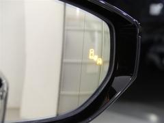 ֥饤ɥݥåȥ˥ټξΡɥߥ顼Ǥϳǧˤ塢¦ꥢ¸ߤξܶᤷƤξ⸡Τɥߥ顼ܤ줿̣ţĥ󥸥ޤ 5