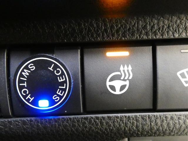 ＲＡＶ４ アドベンチャー　ミュージックプレイヤー接続可　電動シート　４ＷＤ　アルミホイール　ワンオーナー　ＬＥＤヘッドランプ　記録簿　キーレス　盗難防止装置　オートクルーズコントロール　メモリーナビ　フルセグ　寒冷地（18枚目）