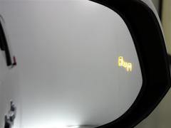 ֥饤ɥݥåȥ˥ټξΡɥߥ顼Ǥϳǧˤ塢¦ꥢ¸ߤξܶᤷƤξ⸡Τɥߥ顼ܤ줿̣ţĥ󥸥ޤ 7