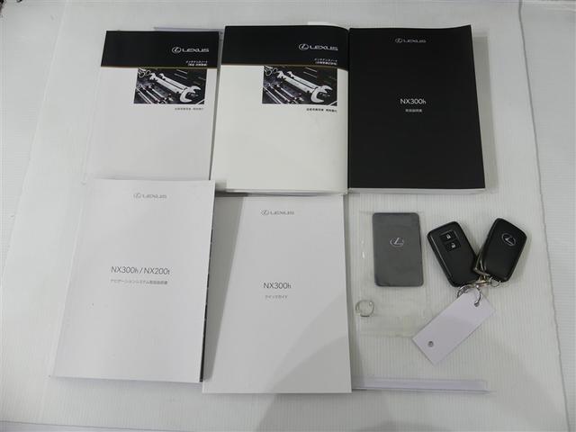 NX NX300h Iパッケージ ミュージックプレイヤー接続可 電動シート 4WD アルミホイール ワンオーナー LEDヘッドランプ 記録簿 キーレス CD 盗難防止装置 ハイブリッド オートクルーズコントロール メモリーナビ(8枚目)