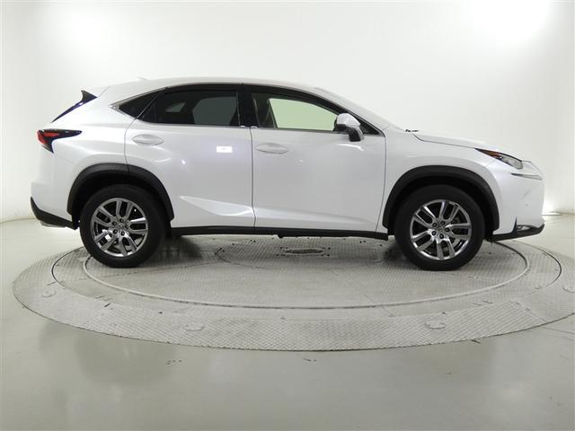 �O�ꂵ�����@�������{�f�B�[�����X�܂Ń��t���b�V���I�@�����̐��E���L�E���ہ@�O�����O��I�Ƀs�J�s�J�d�グ�B