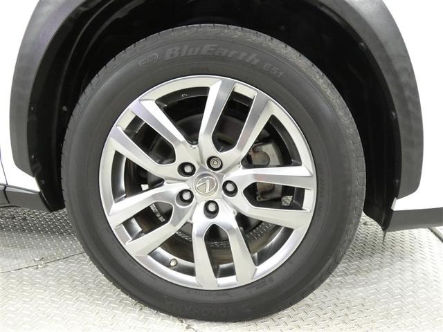 �P�W�C���`�����A���~�z�C�[�������ł��B�H�ʂɗ͂�`����z�C�[�������́A���ɖڗ����܂���ˁB�������́A��������ł��ˁB