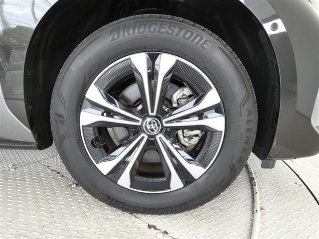 �P�W�C���`�����A���~�z�C�[�������ł��B�H�ʂɗ͂�`����z�C�[�������́A���ɖڗ����܂���ˁB�������́A��������ł��ˁB