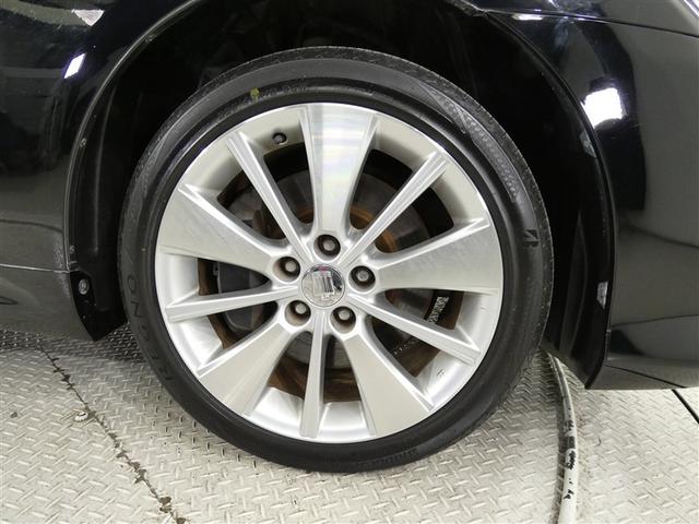 �P�W�C���`�����A���~�z�C�[�������ł��B�H�ʂɗ͂�`����z�C�[�������́A���ɖڗ����܂���ˁB�������́A��������ł��ˁB