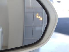 ֥饤ɥݥåȥ˥ټξΡɥߥ顼Ǥϳǧˤ塢¦ꥢ¸ߤξܶᤷƤξ⸡Τɥߥ顼ܤ줿̣ţĥ󥸥ޤ 6