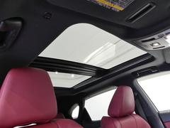 ����˿��Ϥ����������򡣥ѥΥ�ޥࡼ��롼���դ��Ǥ��������פ�������į����ޤ��� 4