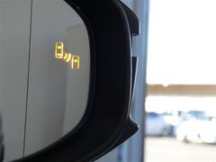 �֥饤��ɥ��ݥåȥ�˥����������ټ����������ξ���Ρ��ɥ��ߥ顼�Ǥϳ�ǧ���ˤ����塢¦�����ꥢ��¸�ߤ����ξ����ܶᤷ�Ƥ����ξ�⸡�Τ��ɥ��ߥ顼����ܤ��줿�̣ţĥ��󥸥����������������ޤ��� 5